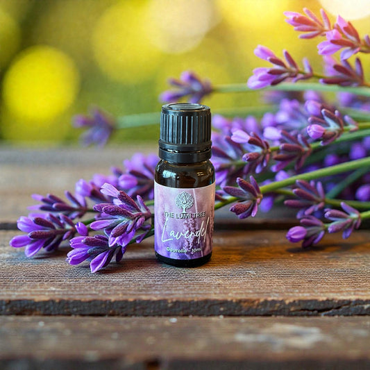 Geurolie - Lavendel